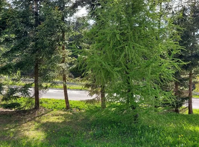 Apartment Horsky Temari 2 Klinovec
